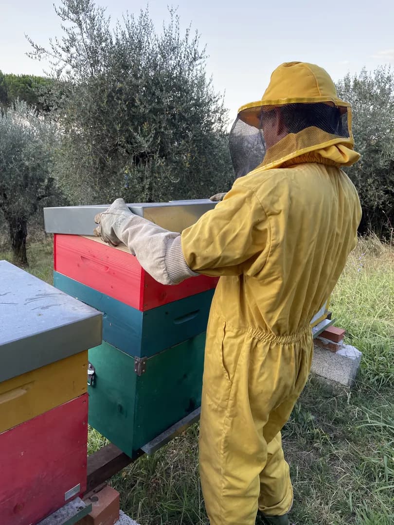 Apicoltura
