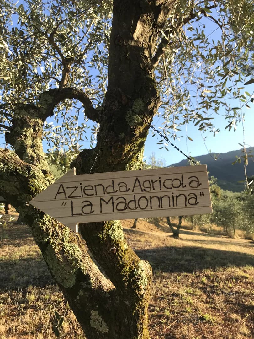 Cartello Fattoria La Madonnina