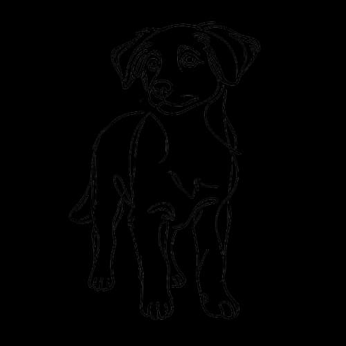 Disegno di un cane che guarda la mappa