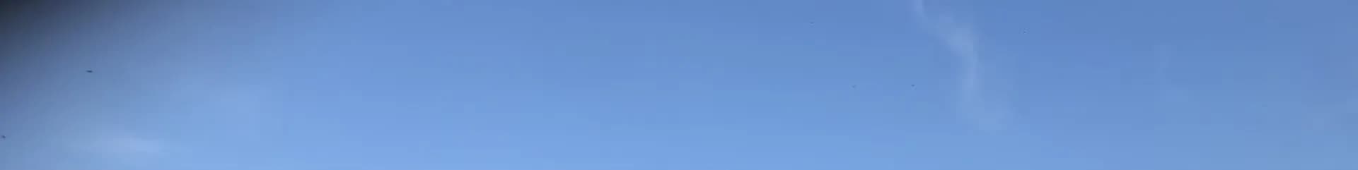 Fattoria La Madonnina